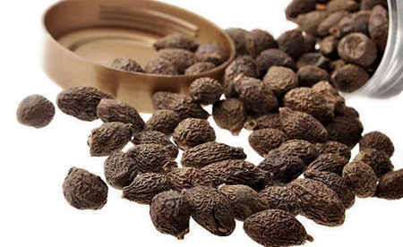 timg (1).jpg timg (1).jpg